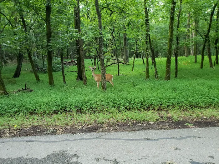 Boxwell Reservation 6
