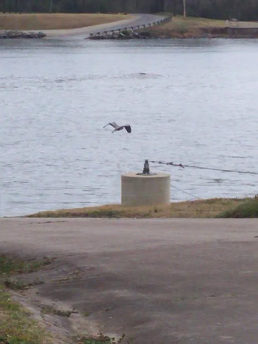 RV Park at Riverview, Ridley Rentals LLC 0