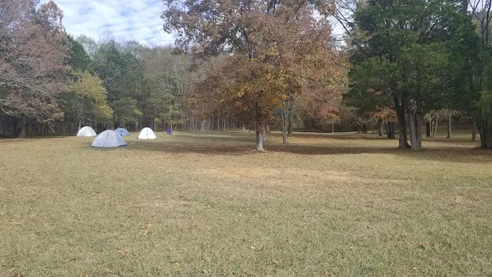 Camp light 2