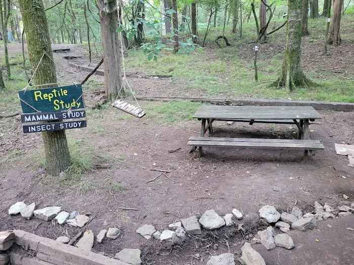 Craig Conservation Yard 2