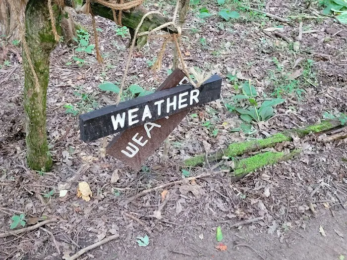Craig Conservation Yard 9