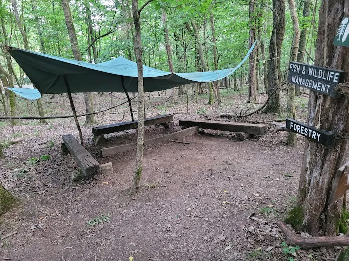 Craig Conservation Yard 6