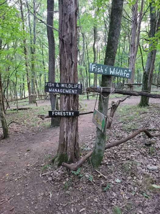 Craig Conservation Yard 8