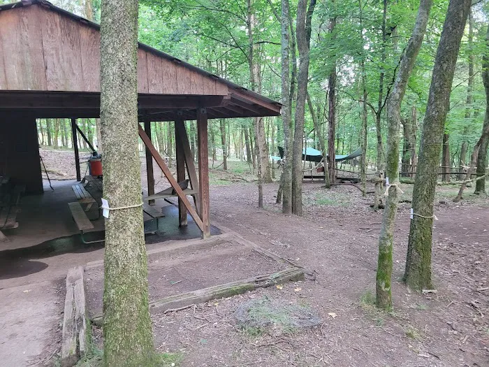 Craig Conservation Yard 5