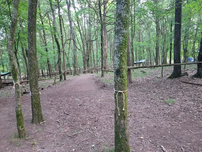 Craig Conservation Yard 1