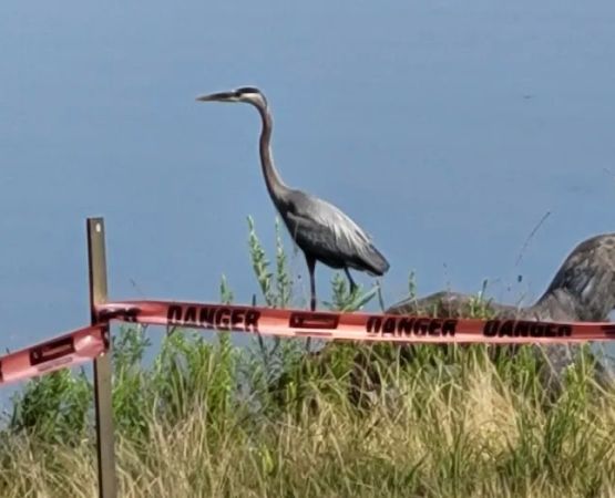 Duck Head campsite