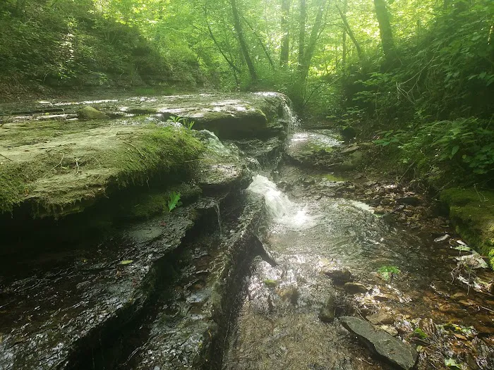 Whispering Oaks Retreat and Campground 0
