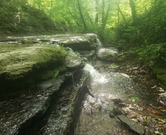 Whispering Oaks Retreat and Campground