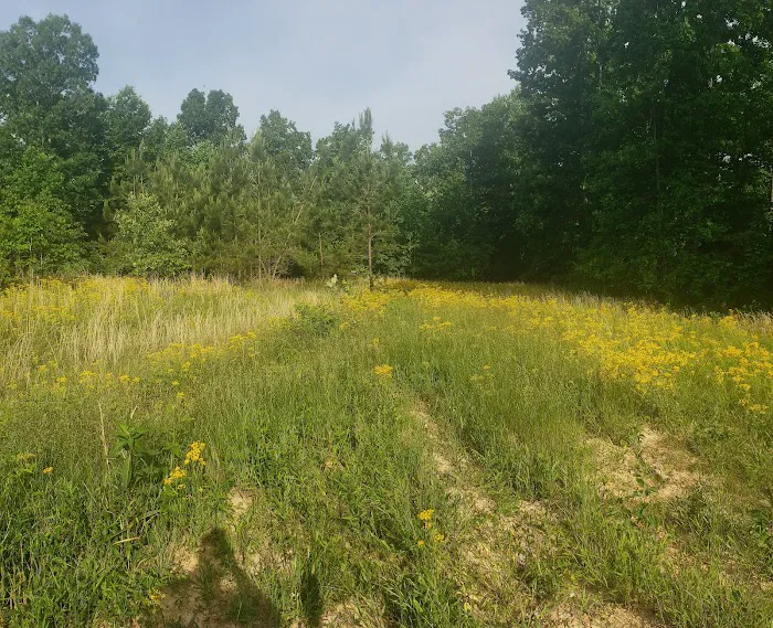 Whispering Oaks Retreat and Campground 1