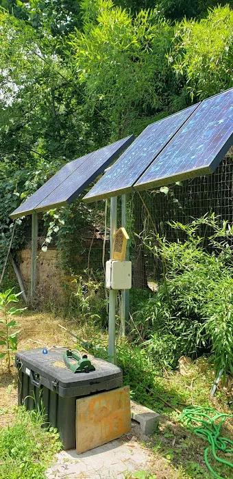 Hoot Owl Hollow on The Farm 5