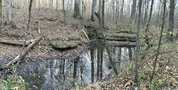 Hoot Owl Hollow on The Farm 3