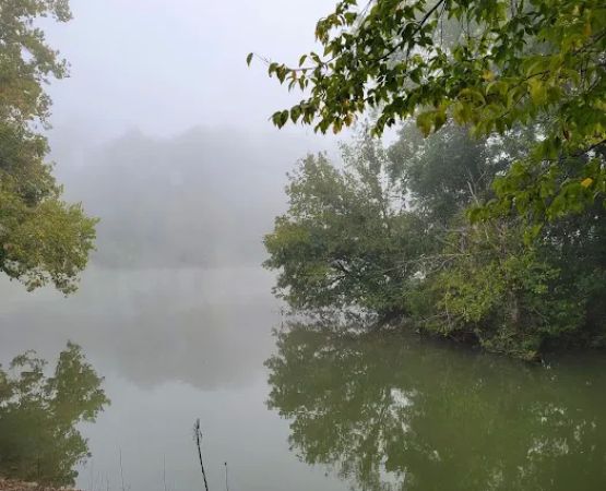 Harpeth River Bridge Campsite
