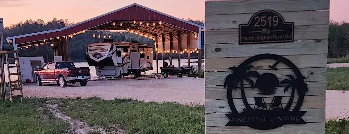 Pineapple Landing 0