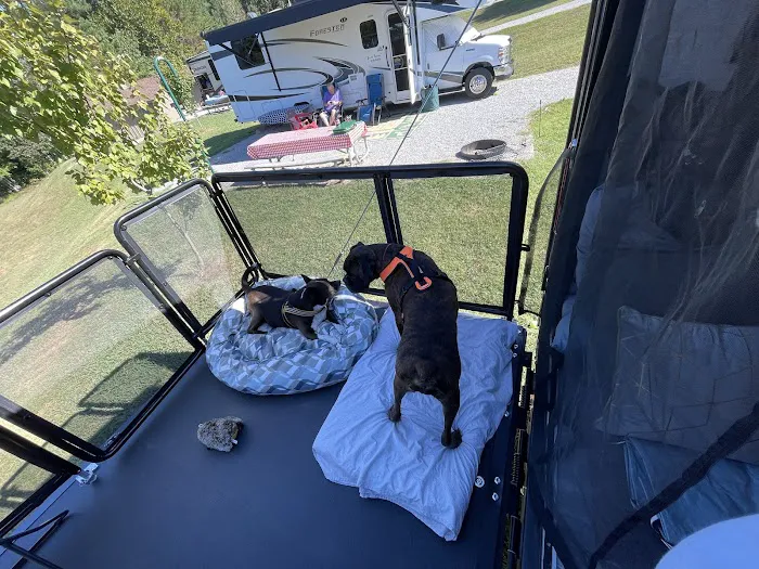 Natchez Trace Pin Oak Campground - Site 6 2
