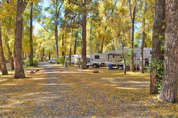 SongBird Campground 7