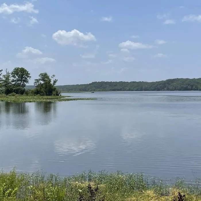 SongBird Campground 6