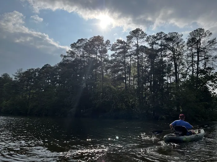 Natchez Trace State Park Campground 1 5