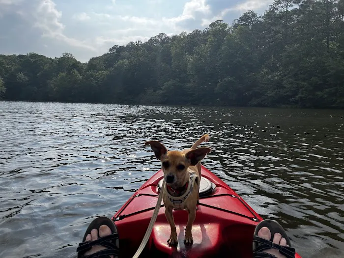 Natchez Trace State Park Campground 1 8