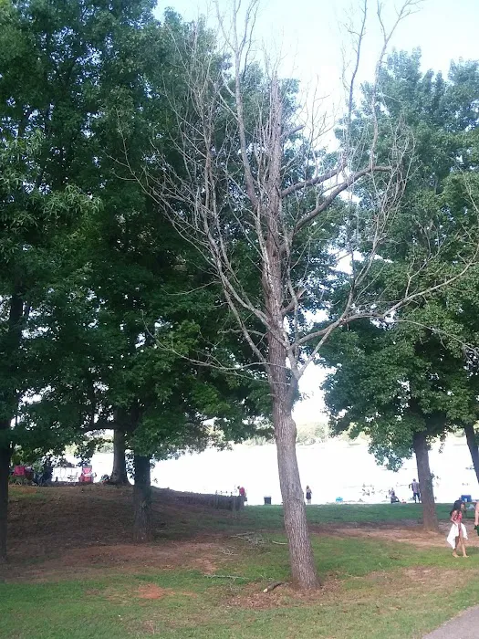 Beech River Watershed Development 9