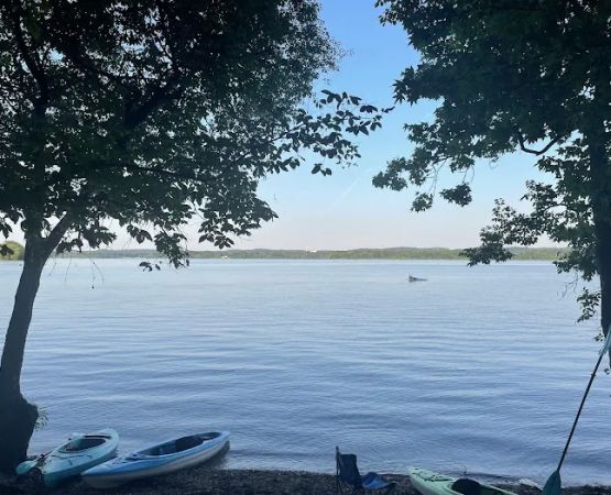 Nathan Bedford State Park Lakeshore Campground