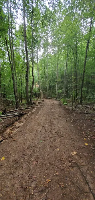 Pickwick Adventures 6