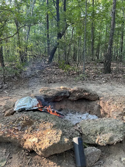 Pickwick Adventures 9