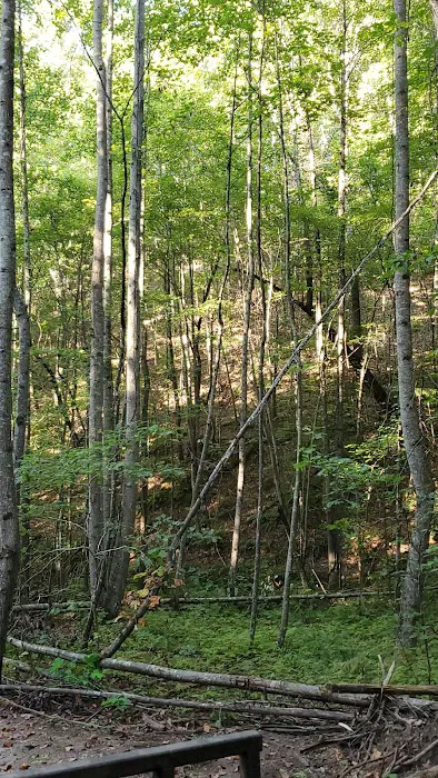 Pickwick Adventures 7