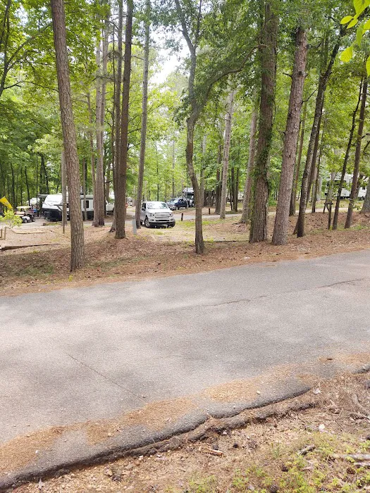 Goat Island RV Park & Camp 8