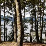 Colbert County Rose Trail Park