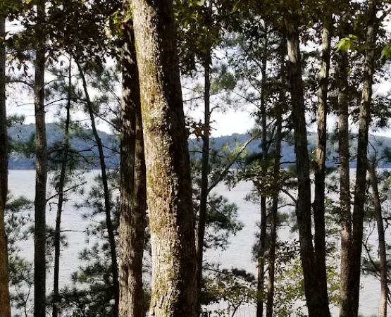 Colbert County Rose Trail Park