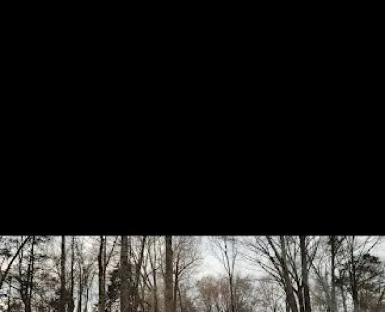 Hatchie Cove Campground