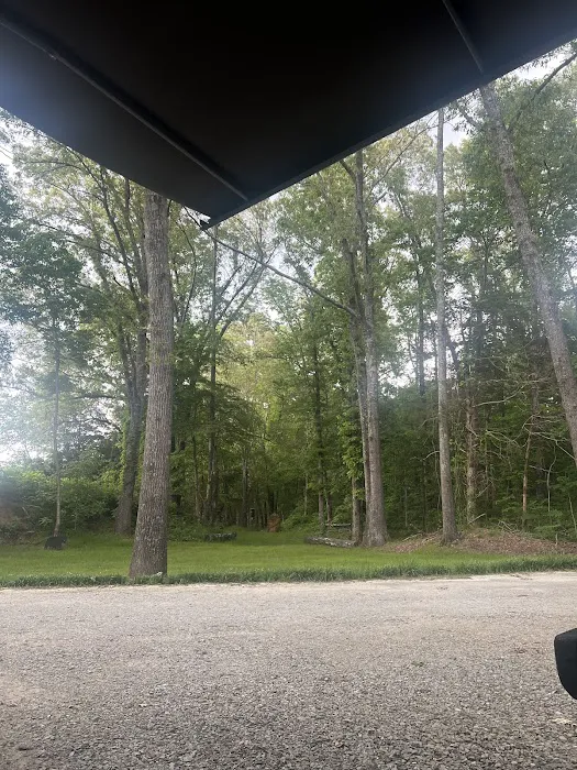 Hatchie Cove Campground 2