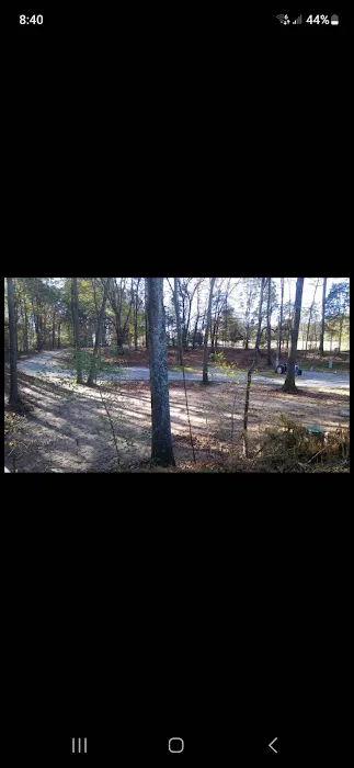 Hatchie Cove Campground 4