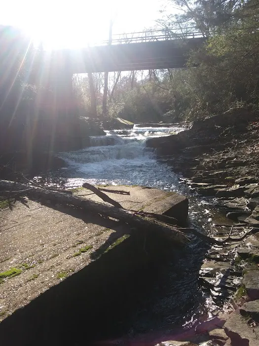 Town Creek Campground 4