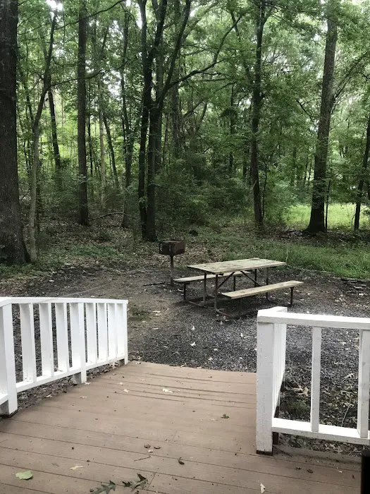 Little Mountain Marina-Camping 4