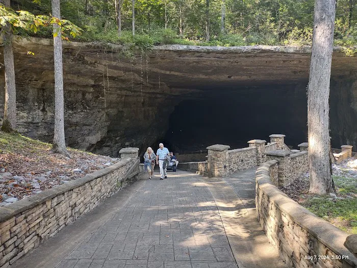 Cathedral Caverns State Park Campground 5