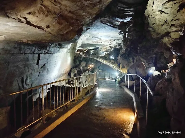 Cathedral Caverns State Park Campground 0