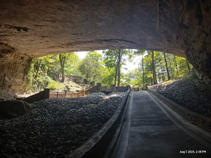 Cathedral Caverns State Park Campground 3
