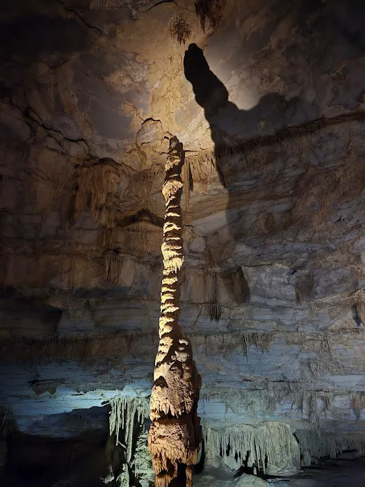 Cathedral Caverns State Park Campground 7