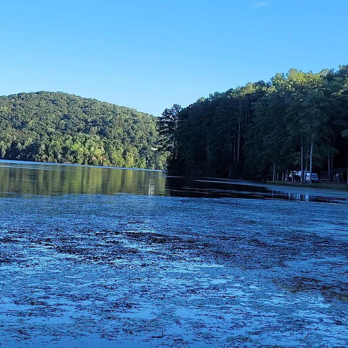 Honeycomb Campground 6