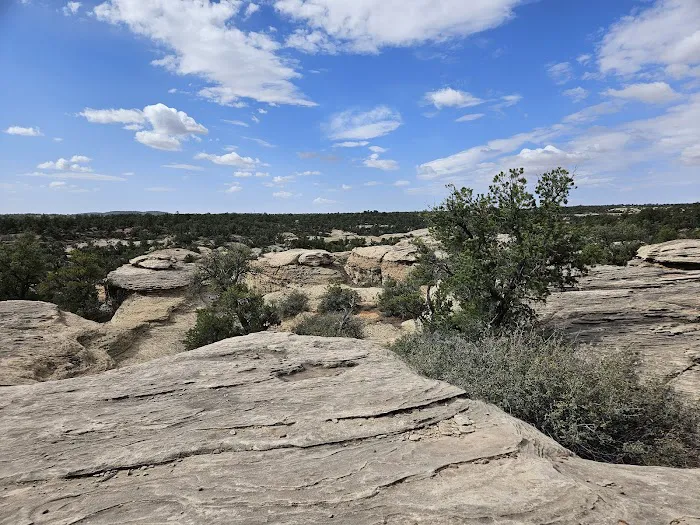 Camp Gooseberry Mesa 0