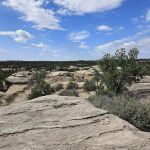 Camp Gooseberry Mesa