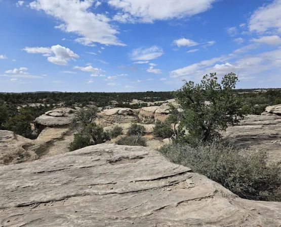 Camp Gooseberry Mesa