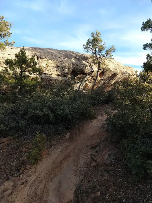 Camp Gooseberry Mesa 6