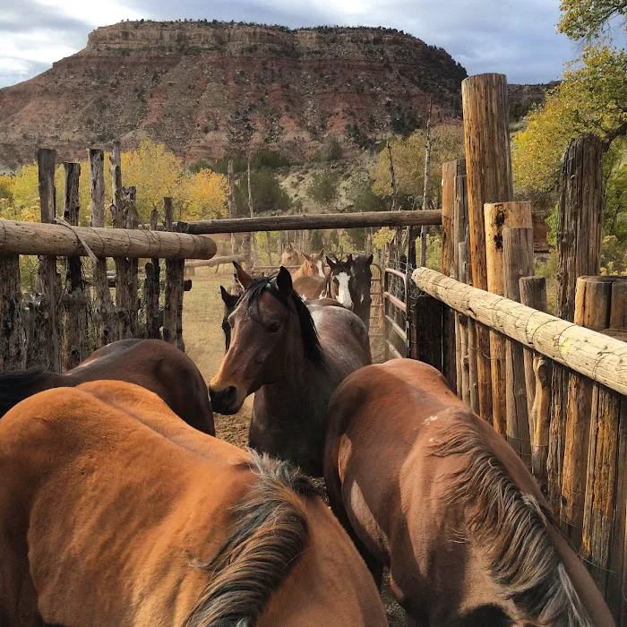 Zion Wright Family Ranch 2