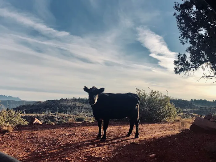Zion Wright Family Ranch 7