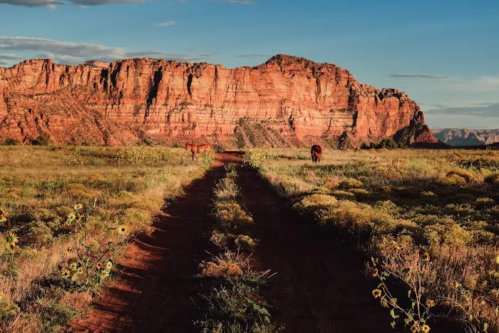 Zion Wright Family Ranch 8