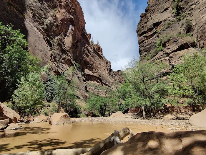 Zion NP South Campground 4