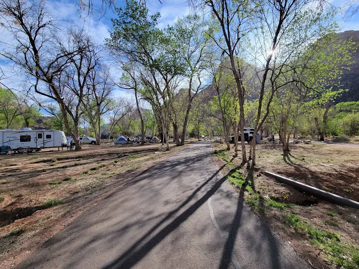 Zion NP South Campground 5