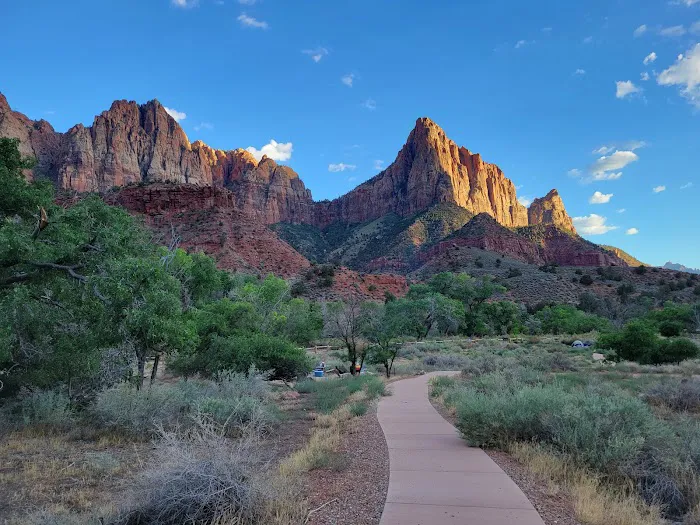 Zion NP South Campground 6